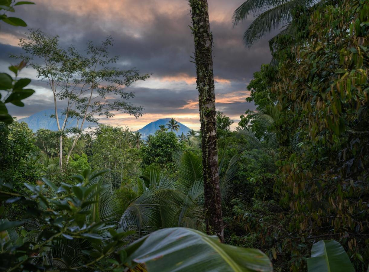 Niente Bali Villa Penebel Buitenkant foto